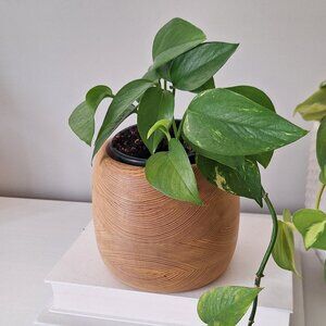 Vintage wood Small round planter pot
